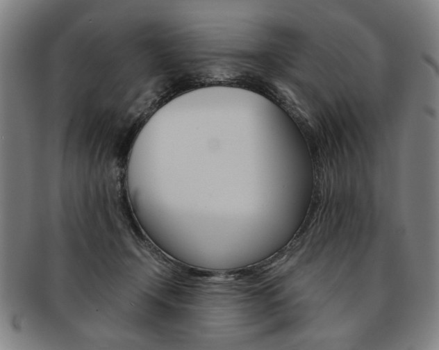 X0000091650366200708231015