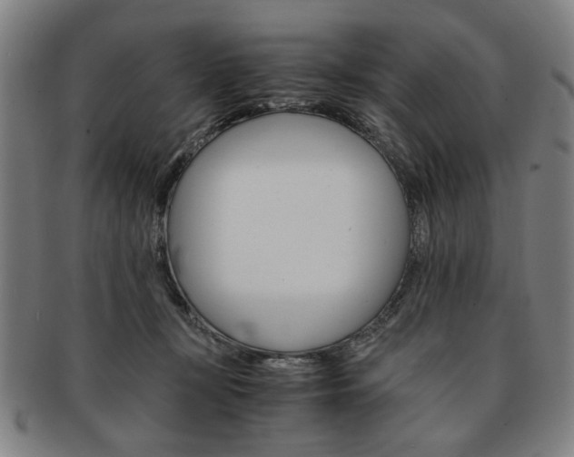 X0000091650367200708231015