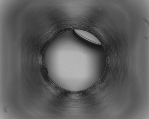 X0000091650368200708231015