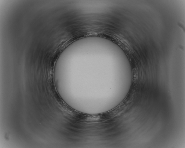 X0000091650369200708231015
