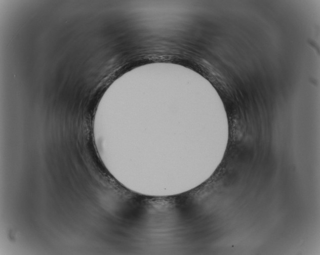 X0000091650370200708231015