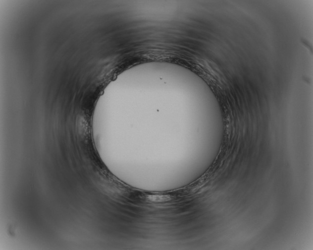 X0000091650371200708231015