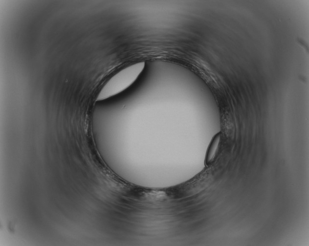 X0000091650374200708231015