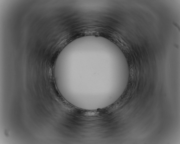 X0000091650375200708231015