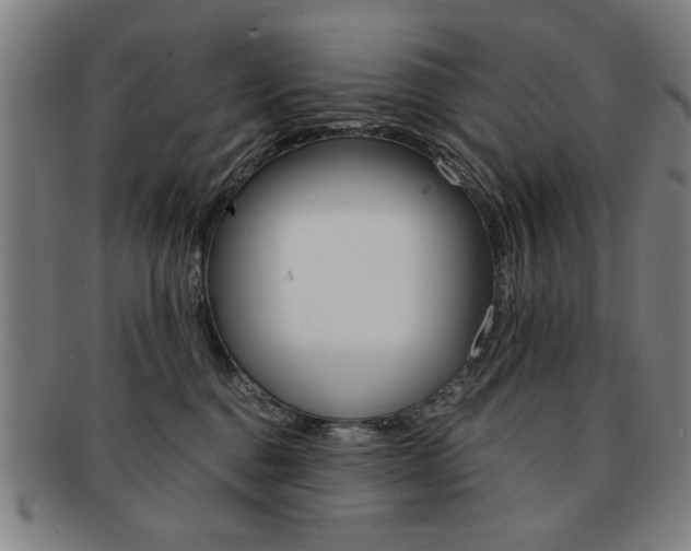 X0000091650376200708231015