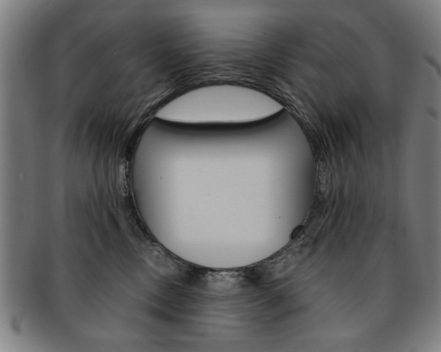 X0000091650378200708231015