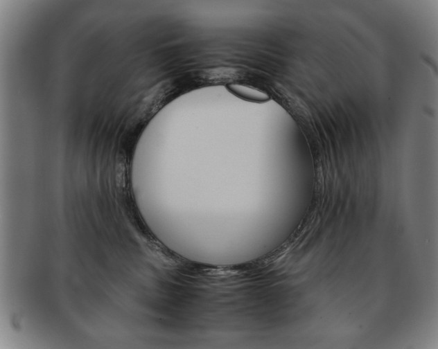 X0000091650379200708231015