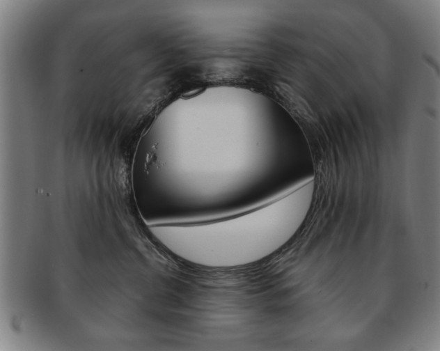 X0000091650380200708231015