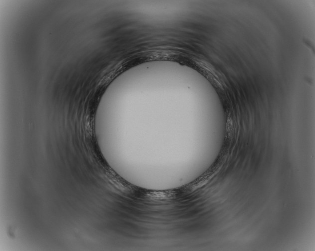 X0000091650381200708231015