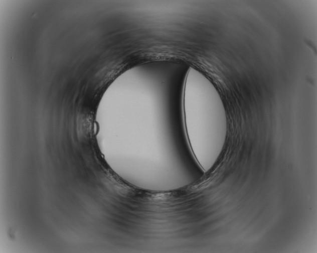 X0000091650382200708231015