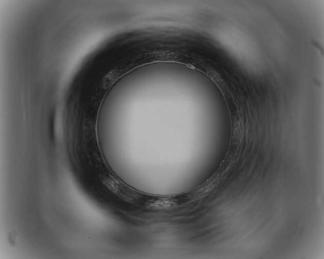 X0000091650383200708231015