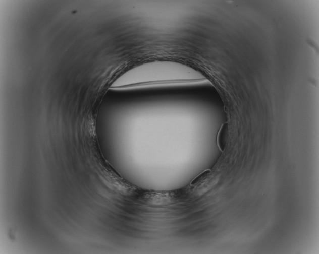 X0000091650384200708231015