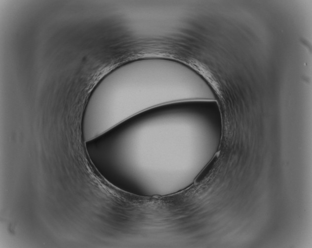 X0000091650385200708231015