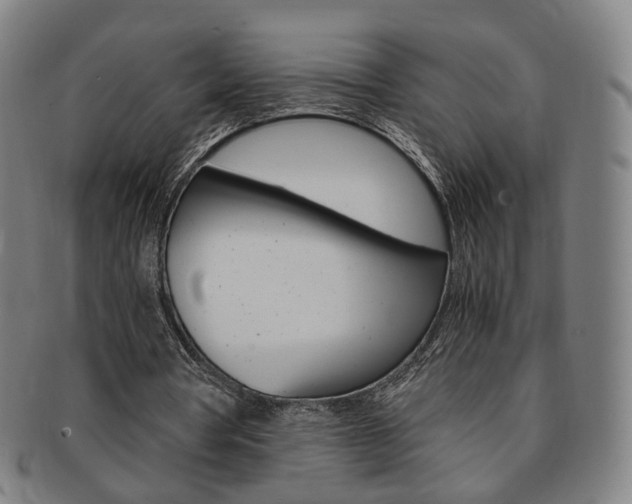 X0000091650386200708231015