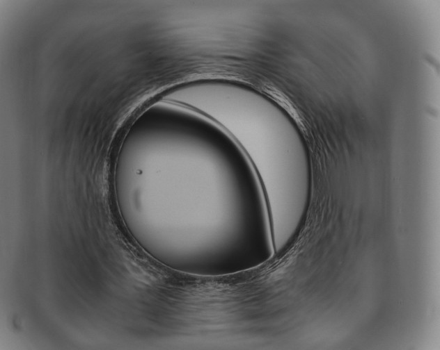 X0000091650387200708231014