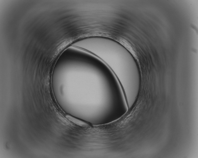 X0000091650389200708231014