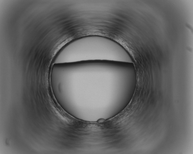 X0000091650390200708231014