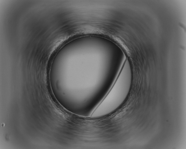 X0000091650391200708231014