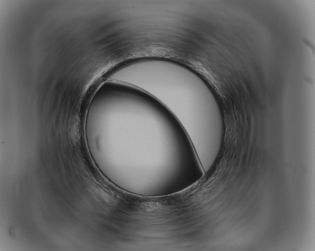 X0000091650392200708231014