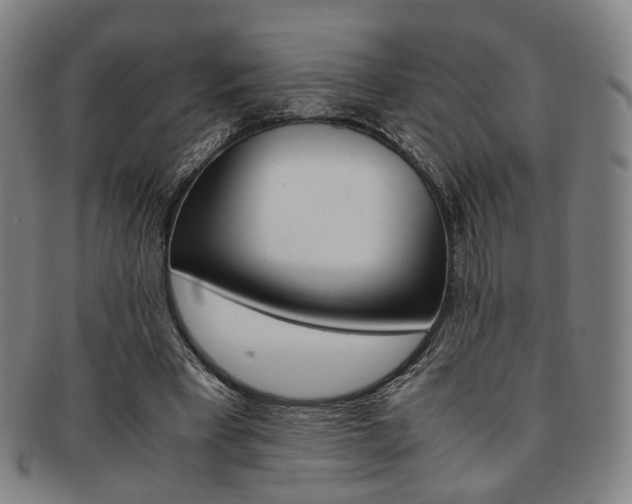 X0000091650393200708231014