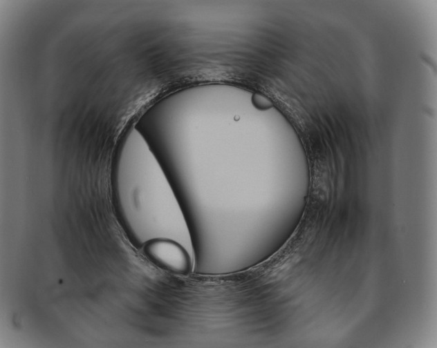 X0000091650394200708231014