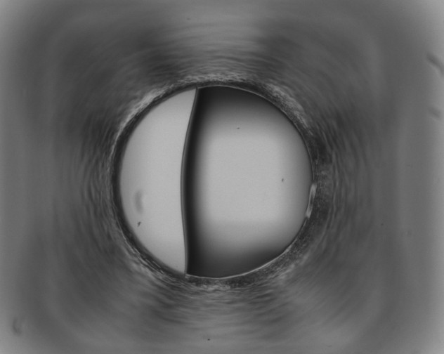 X0000091650395200708231014