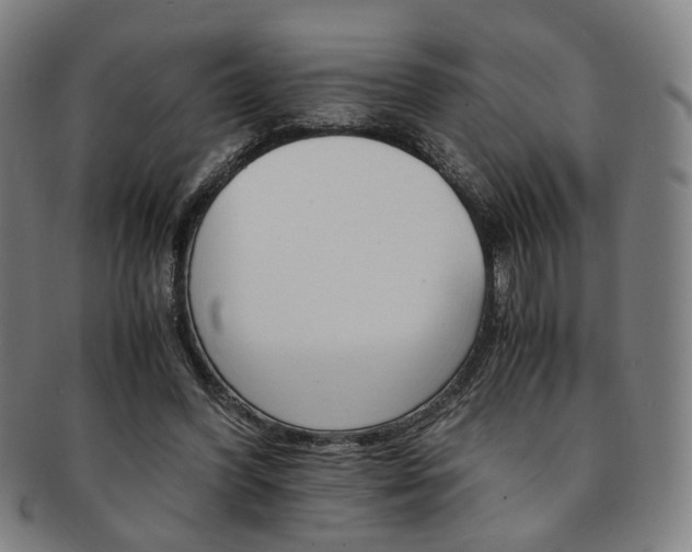 X0000091650396200708231014