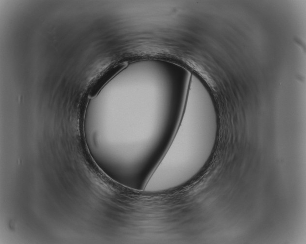X0000091650399200708231014