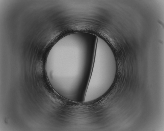 X0000091650400200708231014
