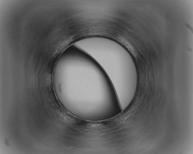 X0000091650401200708231014