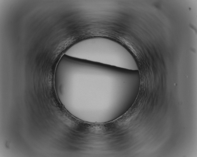 X0000091650402200708231014