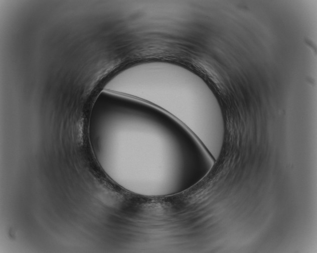 X0000091650404200708231014