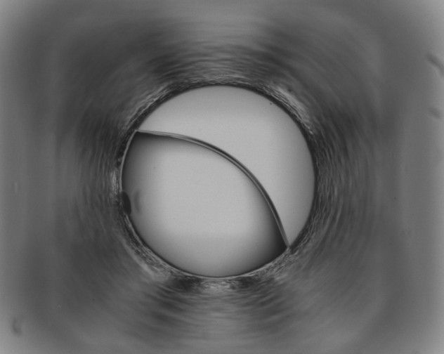 X0000091650405200708231014
