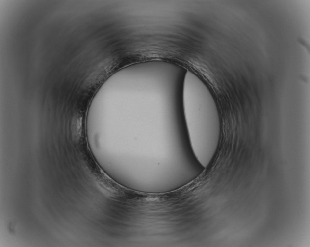 X0000091650406200708231014