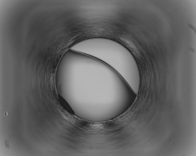 X0000091650409200708231014