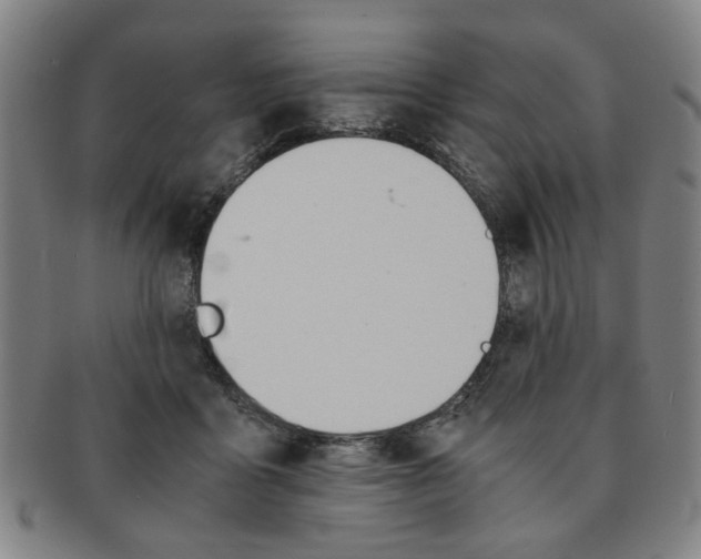 X0000091650411200708231014