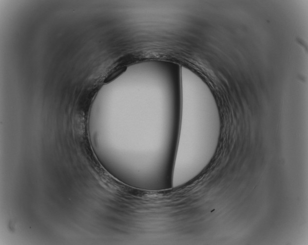 X0000091650413200708231014