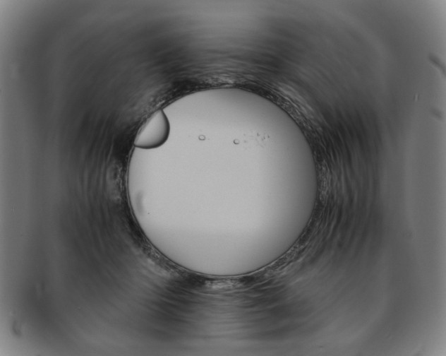X0000091650414200708231014