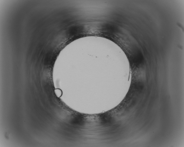 X0000091650415200708231014