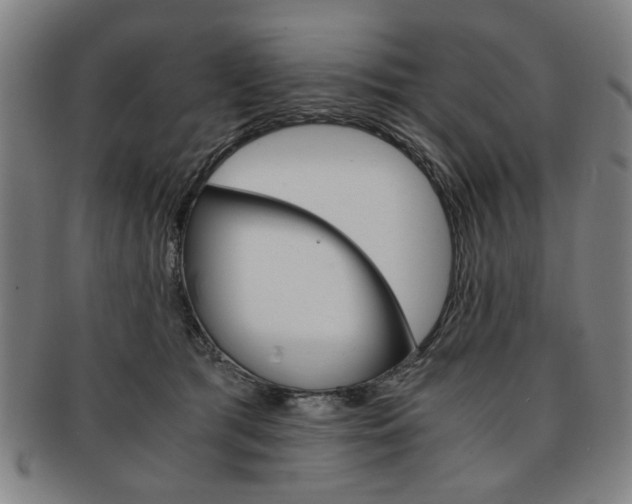 X0000091650417200708231014