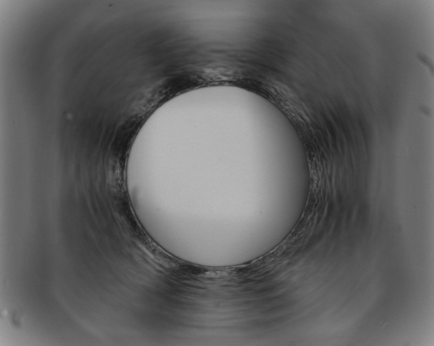 X0000091650418200708231014
