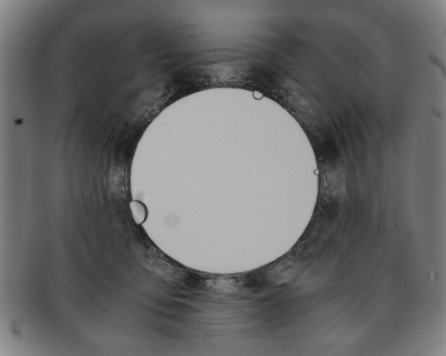 X0000091650419200708231014
