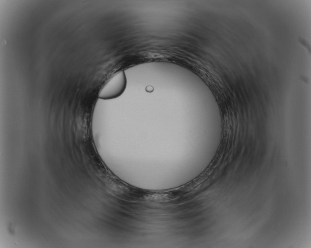 X0000091650422200708231014