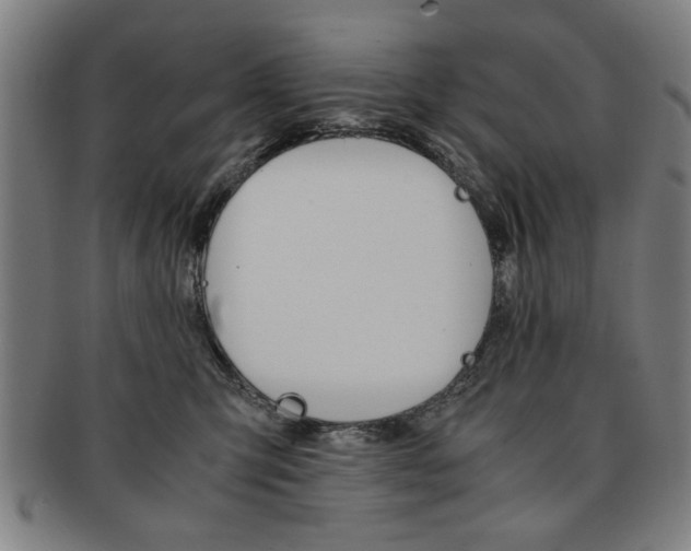 X0000091650423200708231014