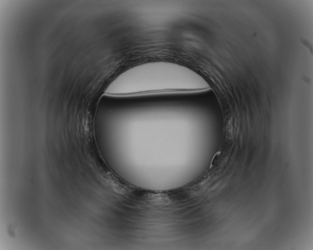 X0000091650424200708231014
