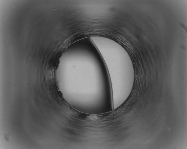 X0000091650425200708231014