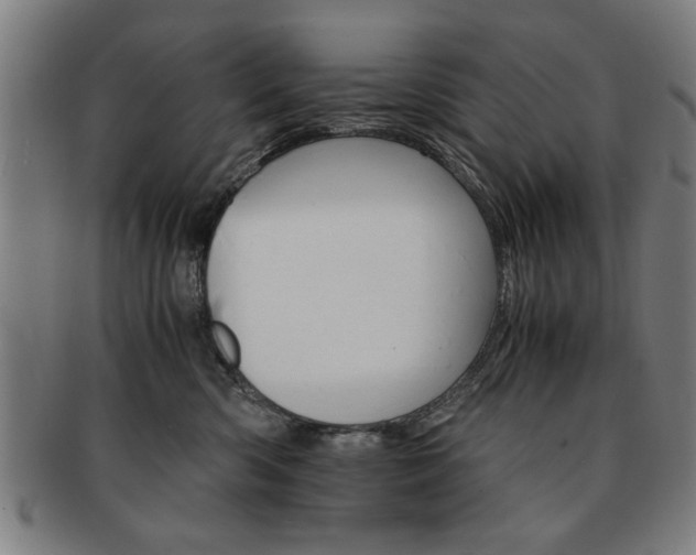 X0000091650426200708231014