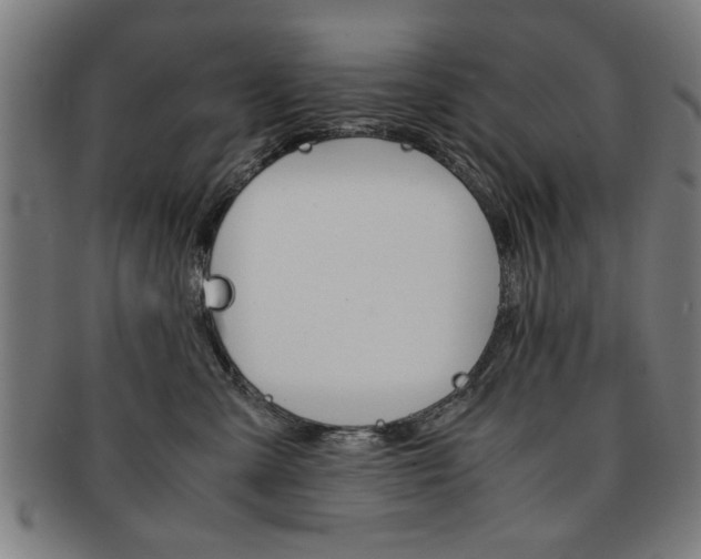 X0000091650427200708231014