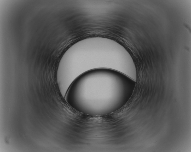 X0000091650428200708231014