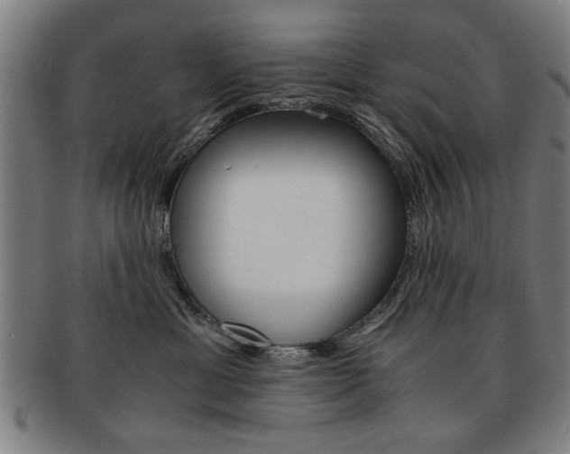 X0000091650429200708231014